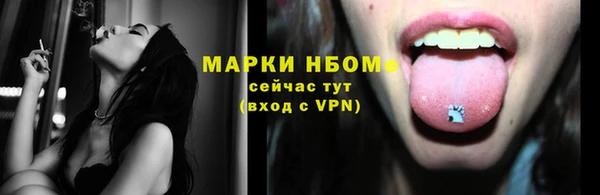 гидра Абаза