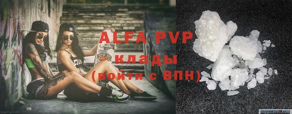 гидра Абаза