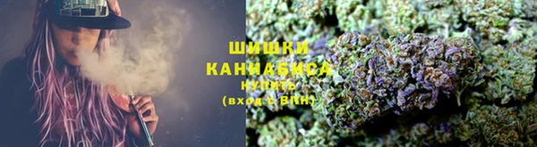 гидра Абаза