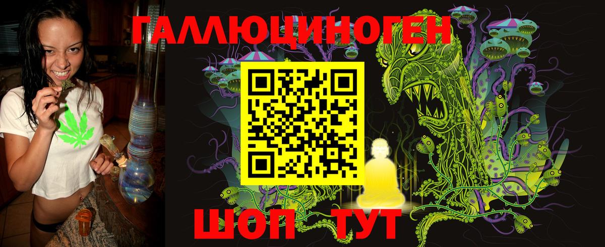 Галлюциногенные грибы Psilocybe Алатырь