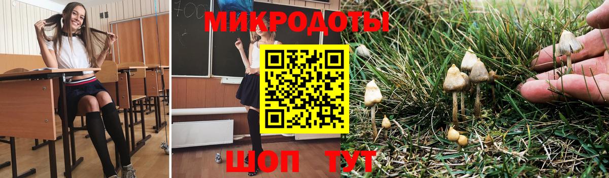 Псилоцибиновые грибы GOLDEN TEACHER  Вход с VPN  Галлюциногенные грибы Psilocybine cubensis  Алатырь 