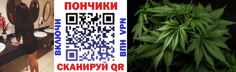 дарнет шоп  Алатырь  МАРИХУАНА индика 